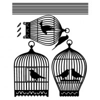 Birdcages Wall Decal Comp