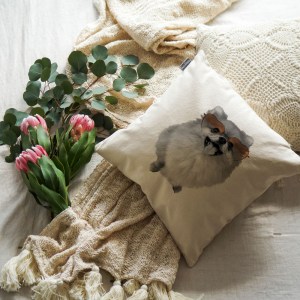 Pomeranian Cushion