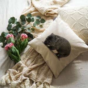 Wombat Cushion 